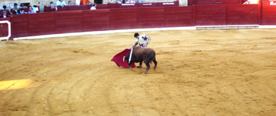 torero_2.jpg